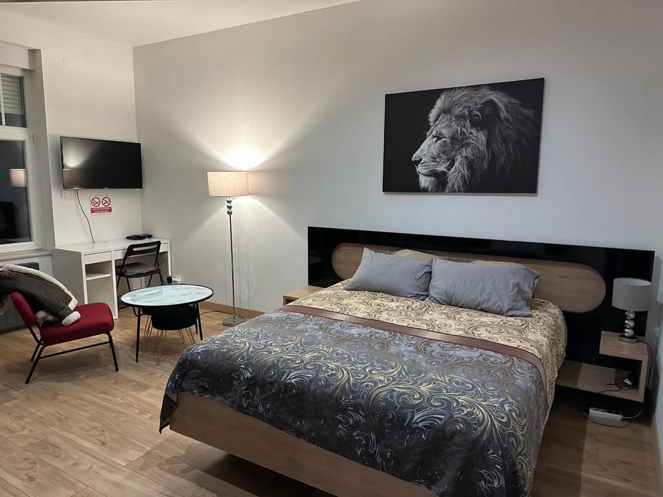 SERENITY BED PALACE 2 Metz GARE Apartment in Metz