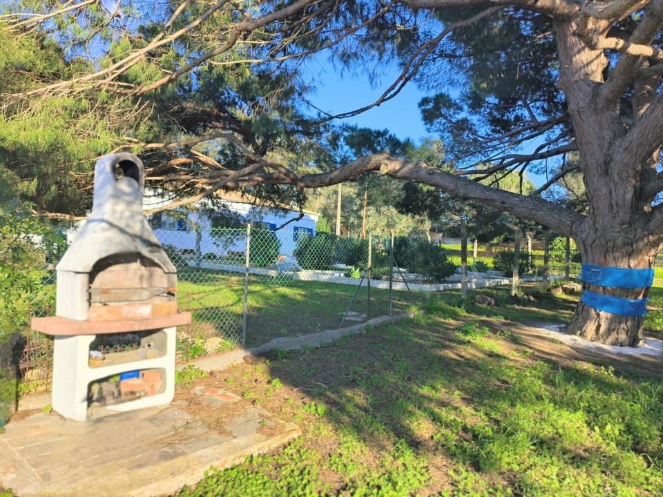 Sítio do Pinheiro - Quinta de Alvor House in Alvor