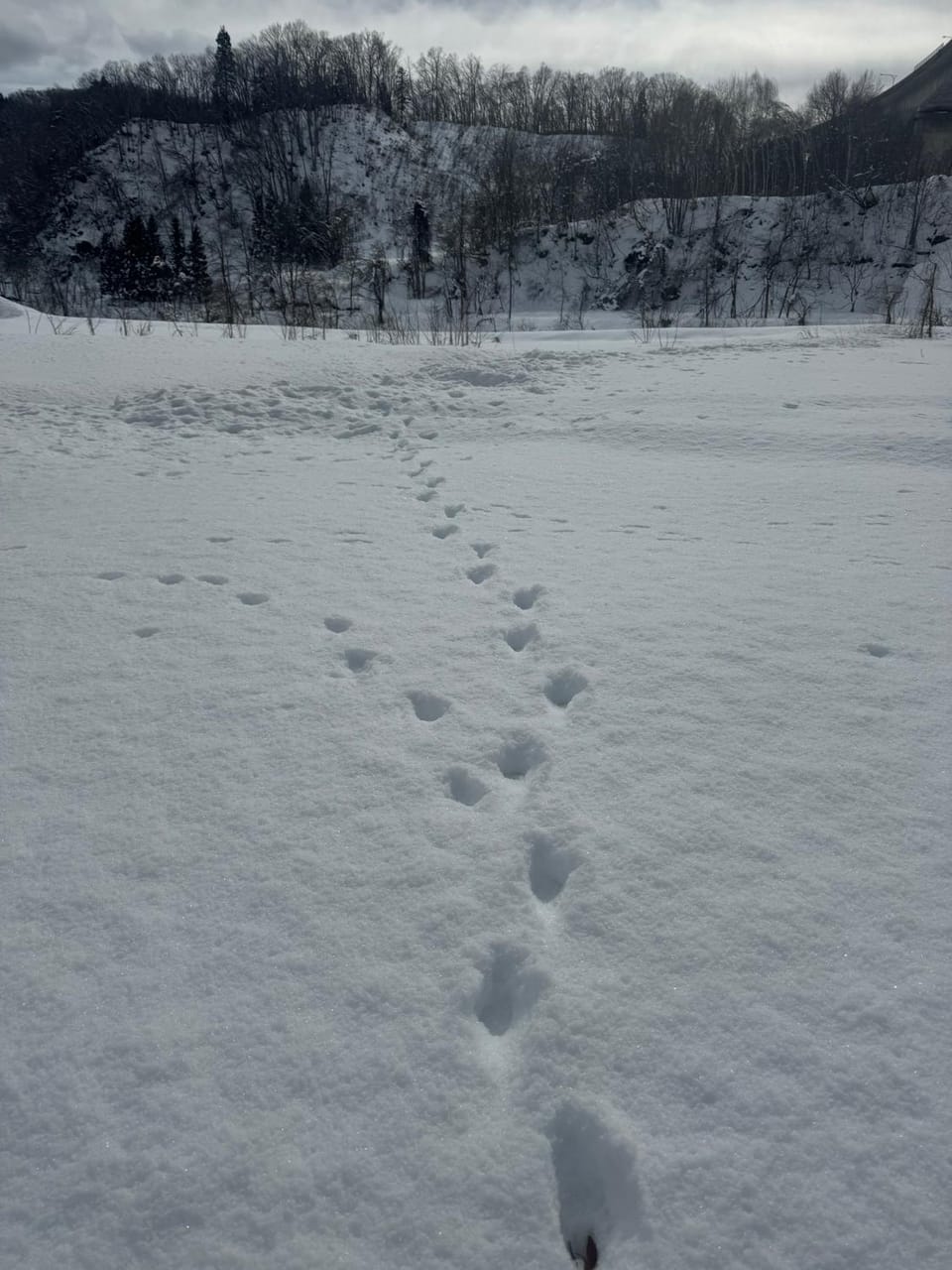 Natural landscape, Winter