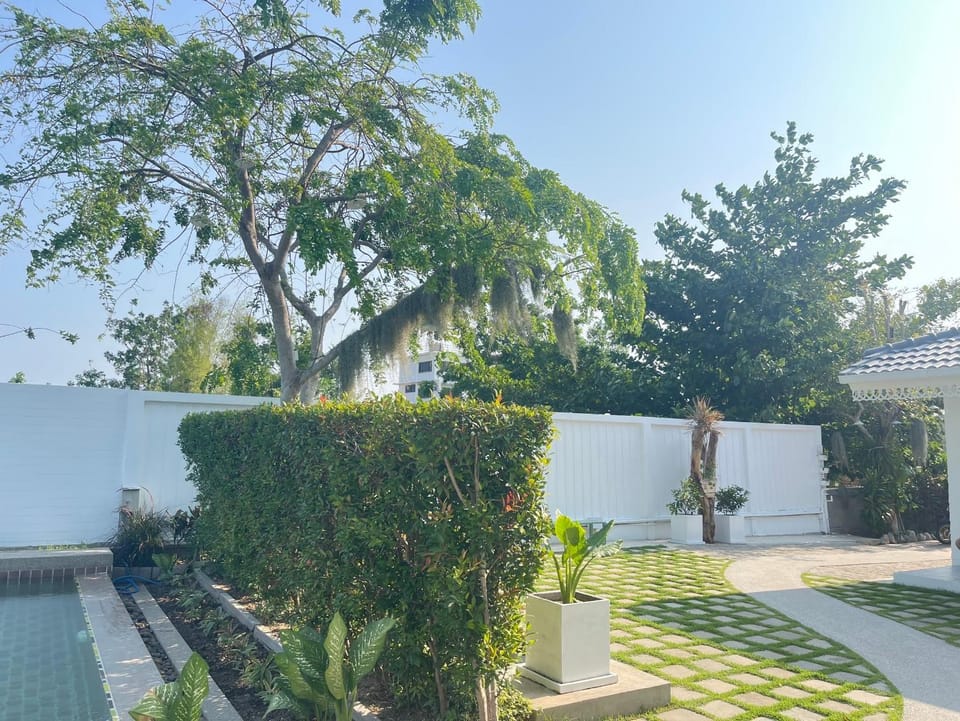 Spring, Garden, Garden view