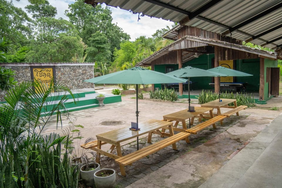 Patio, Garden, Garden view