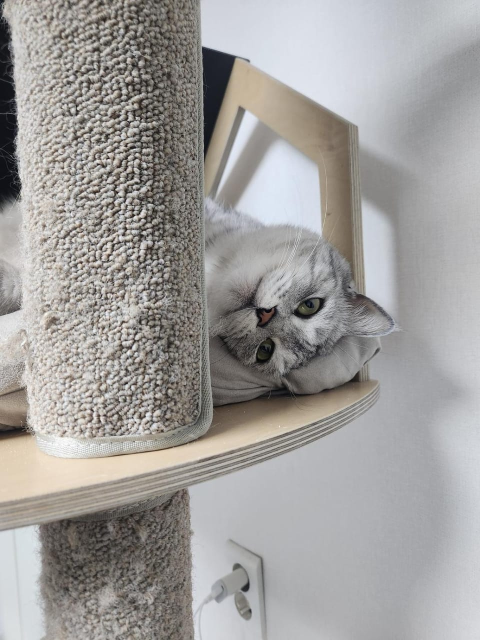 Ilbo Stay Seoul Homestay with Dog & Cat Vacation rental in Seoul