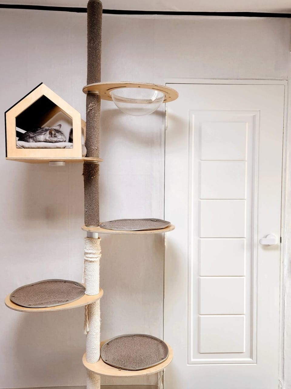 Ilbo Stay Seoul Homestay with Dog & Cat Vacation rental in Seoul