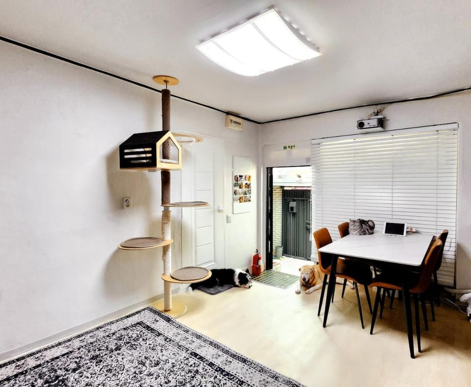 TV and multimedia, Living room, Seating area, Dining area, internet, air conditioner