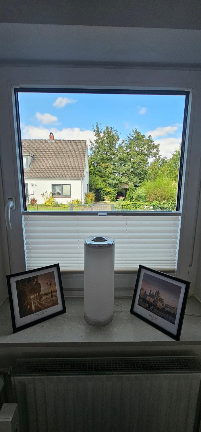 Living room, Photo of the whole room