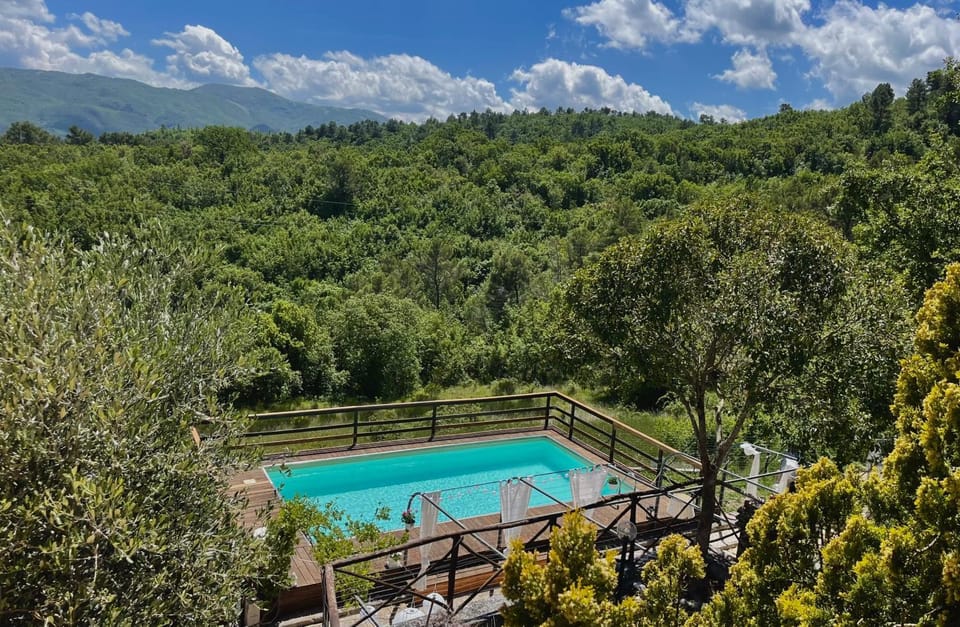 Natural landscape, Garden, View (from property/room), Pool view, Swimming pool
