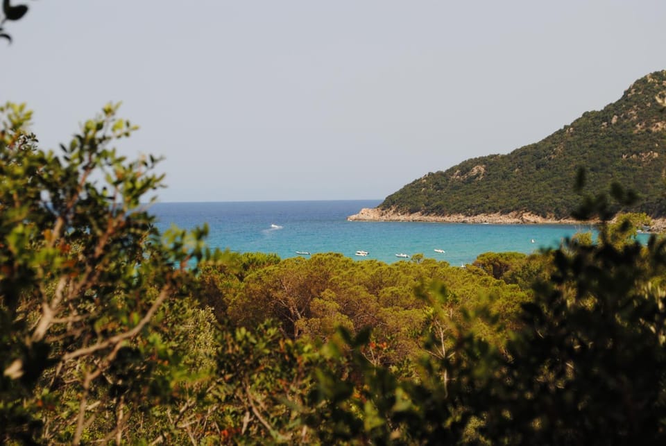 Sea view