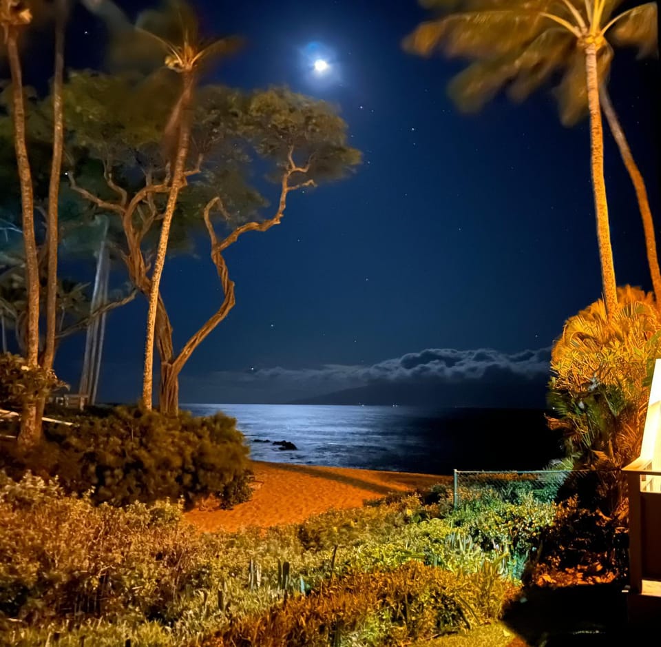 Night, Natural landscape, Beach, Sea view