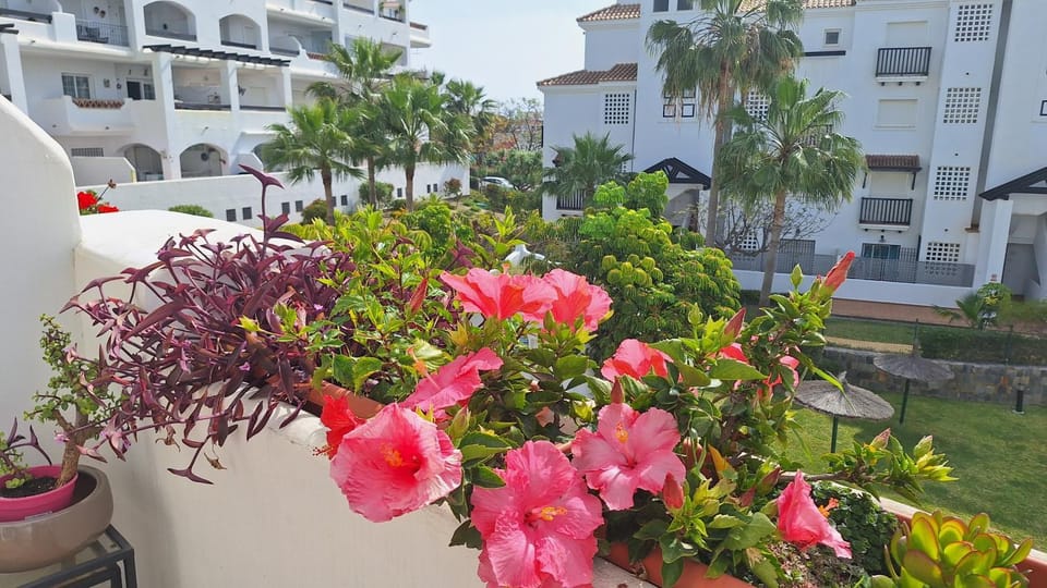 Garden, Garden view