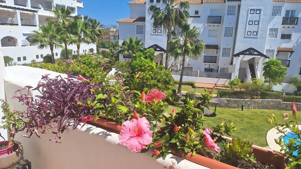 Property building, Garden, Garden view