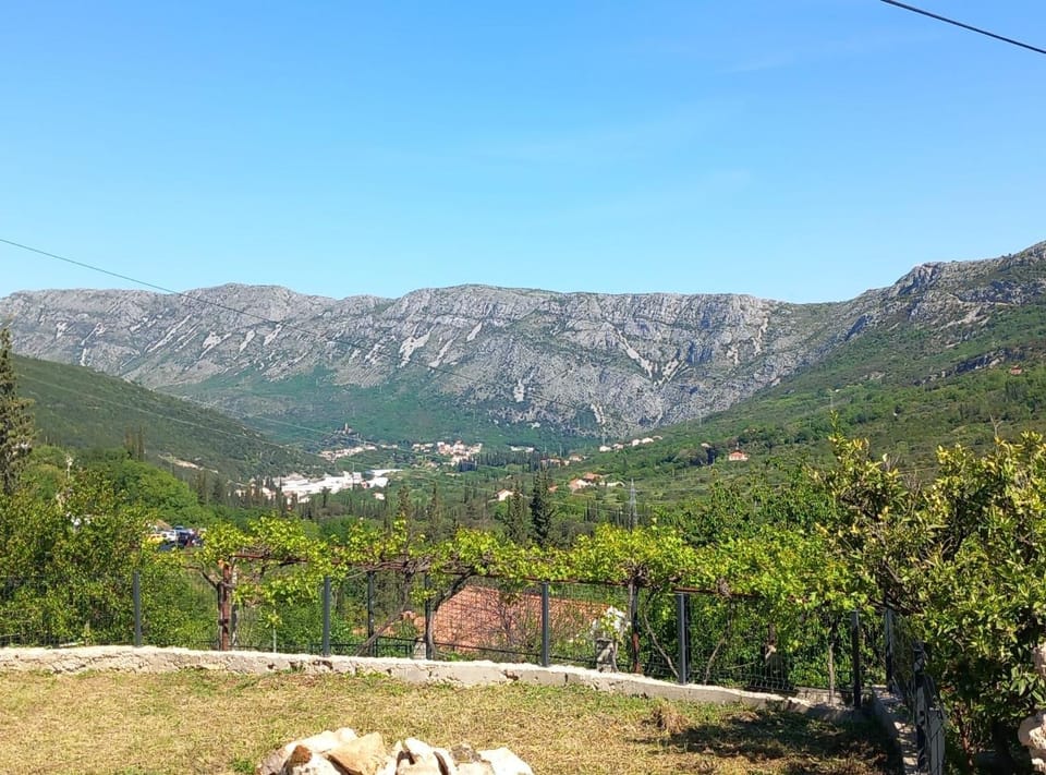 View (from property/room)