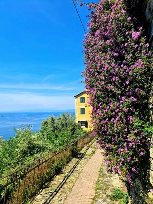 Il sogno del capitano Apartment in Liguria