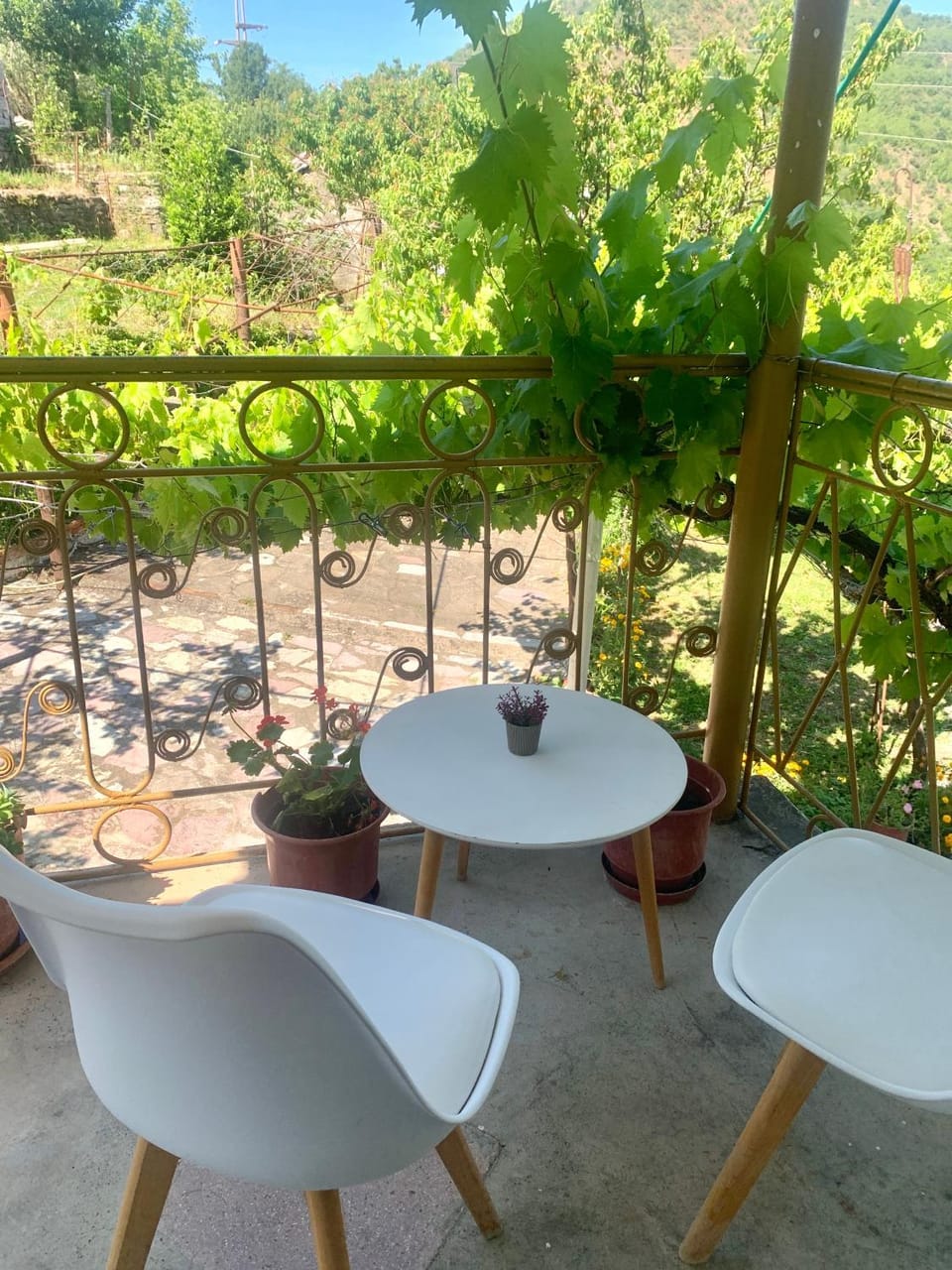 Guest House Noku Bed and Breakfast in Montenegro