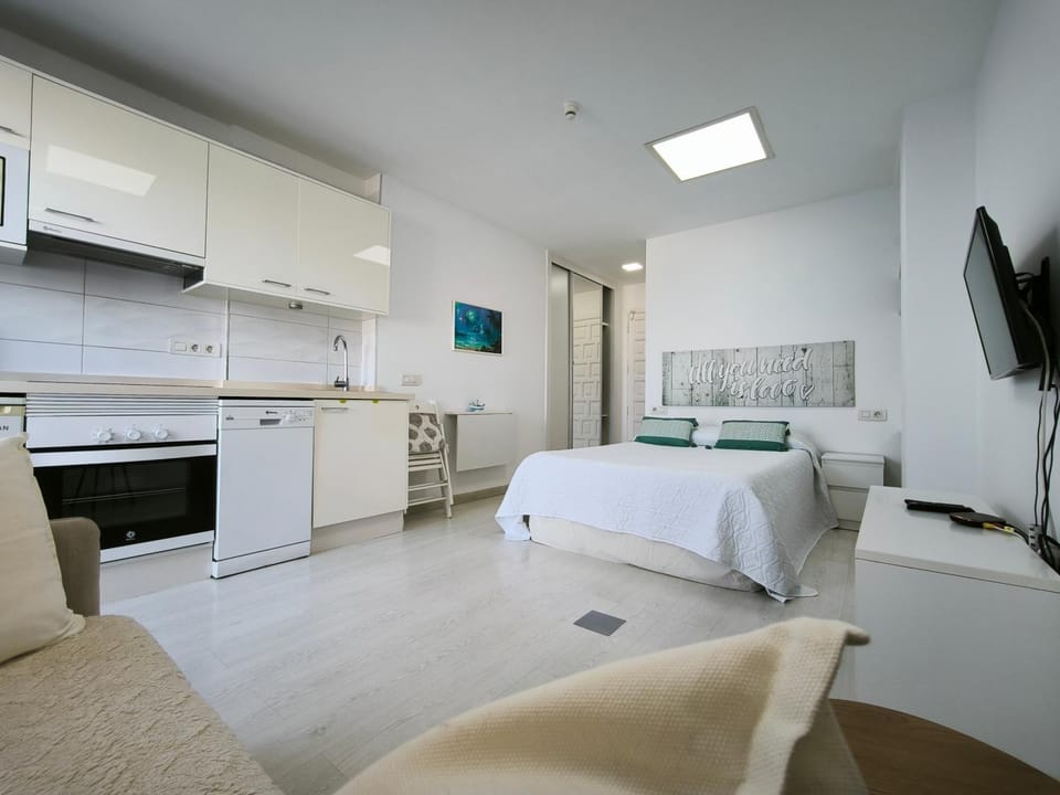 Bed, TV and multimedia, Living room, Photo of the whole room, dishwasher, oven, stove, kitchen