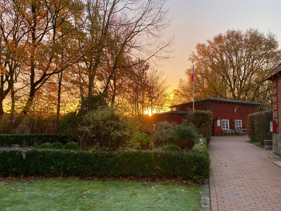 Spring, Garden, Sunrise