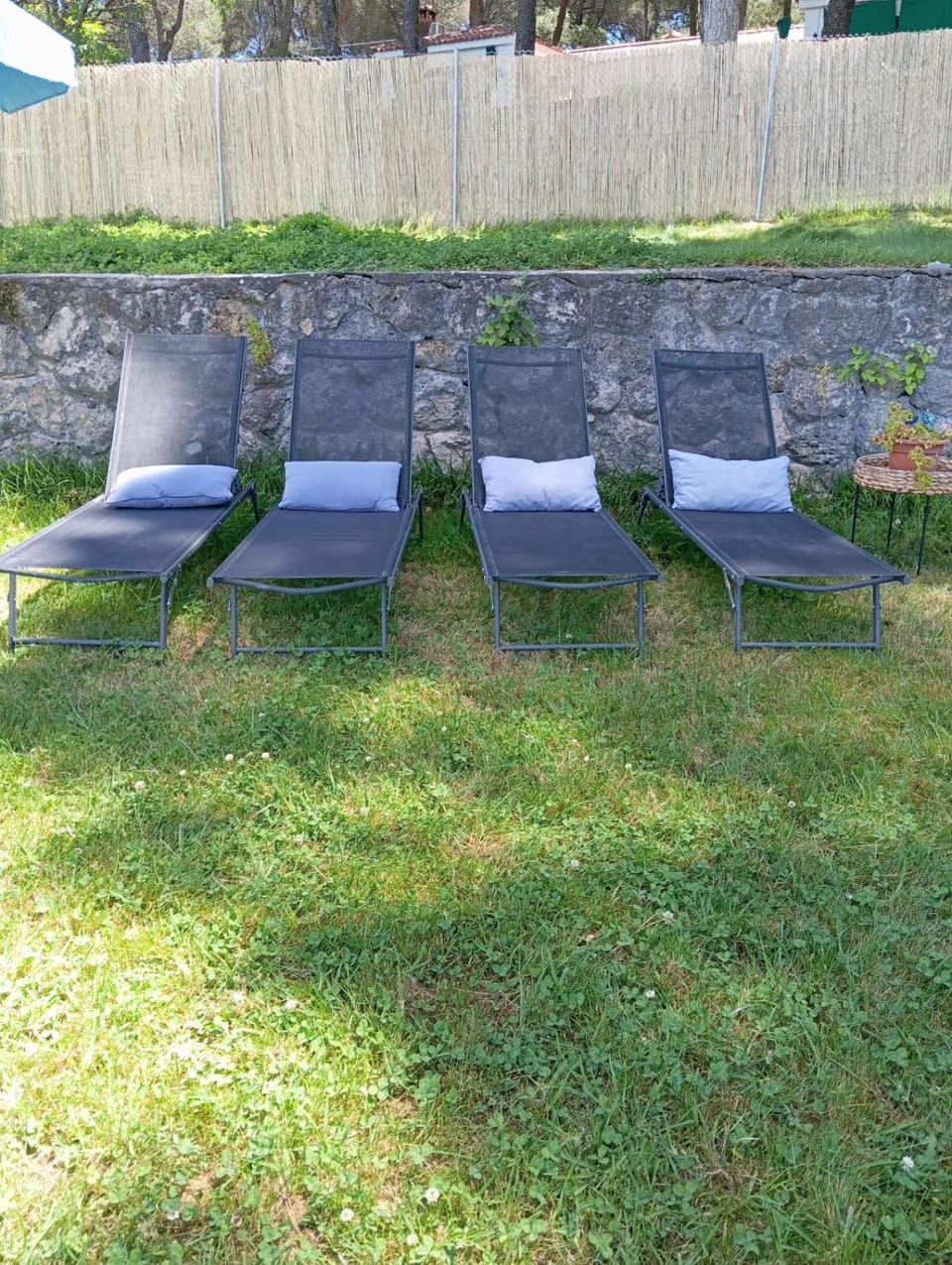 Day, Garden, Garden, sunbed