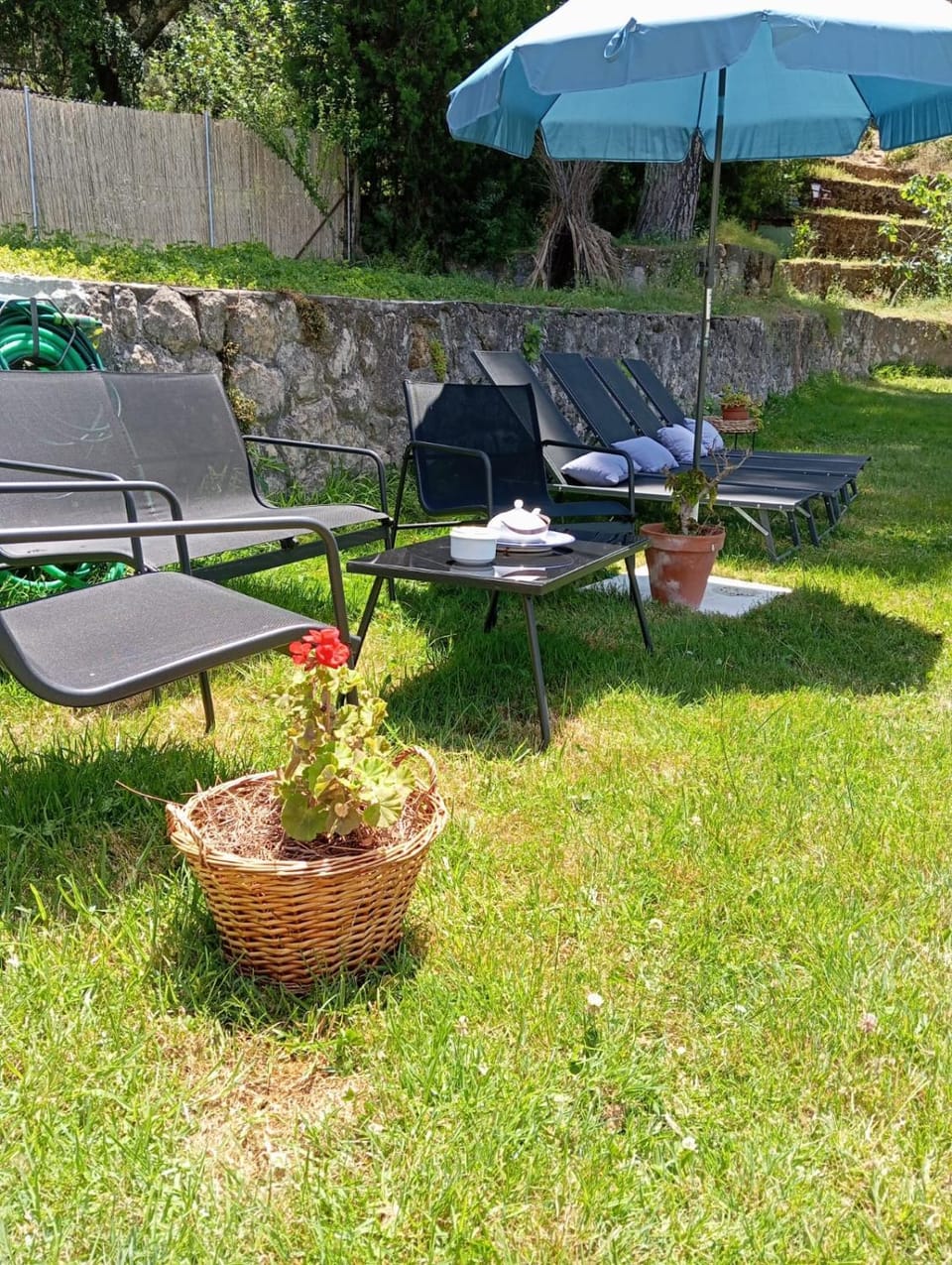 Day, Garden, Garden, Garden view, sunbed
