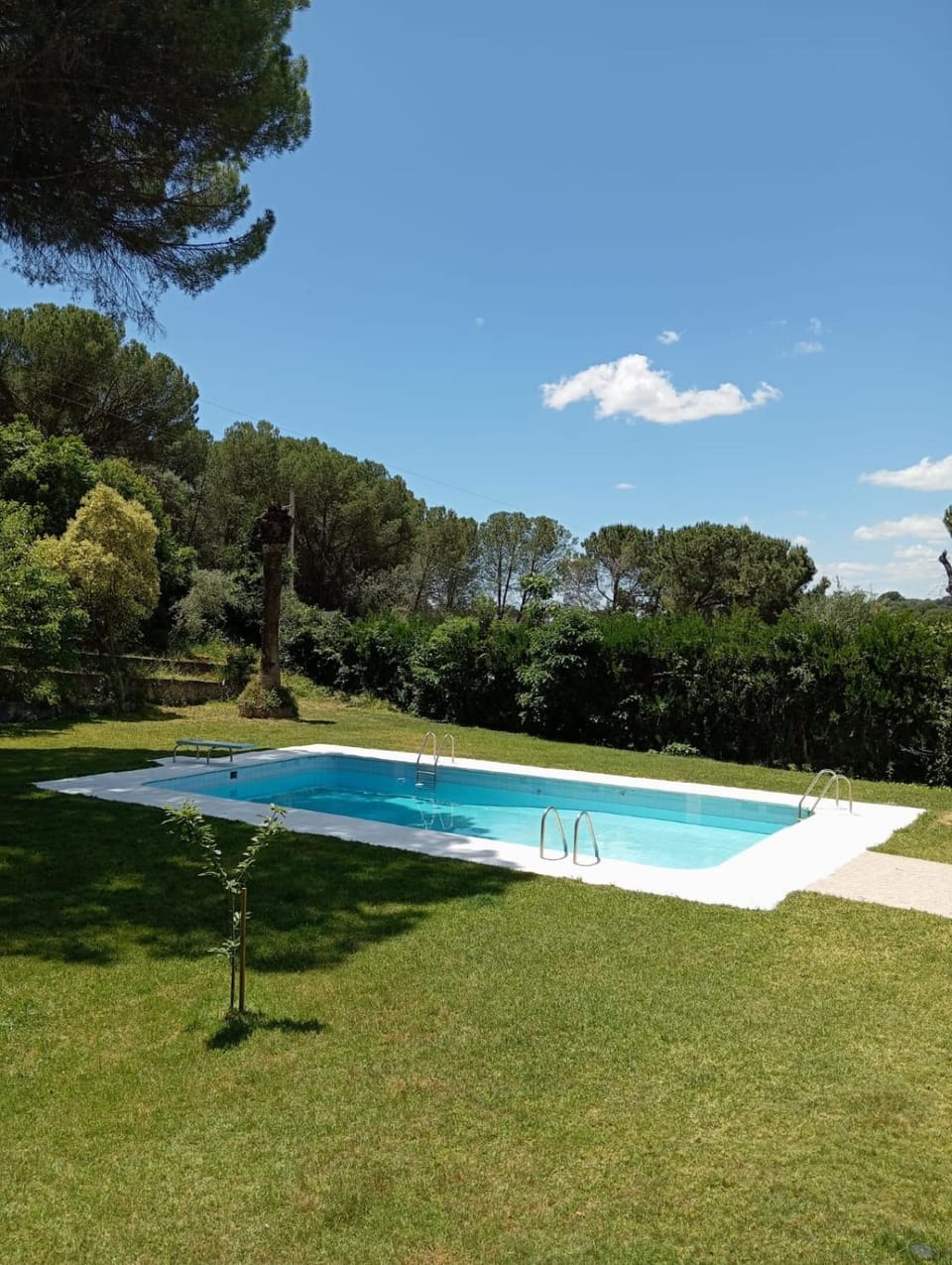 Garden, Swimming pool