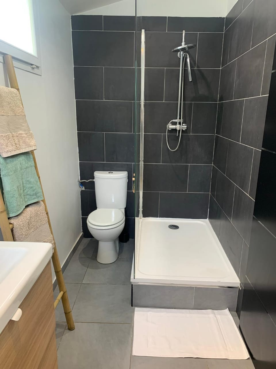 Shower, Toilet, Bathroom, towels