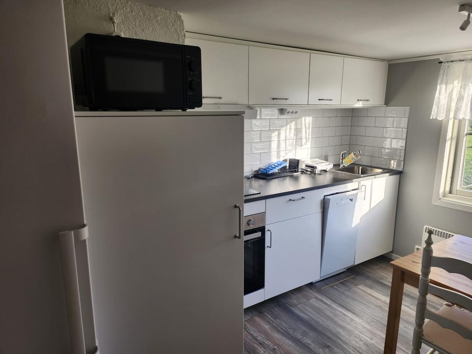 Kitchen or kitchenette, Dining area, dishwasher, oven, stove, toaster