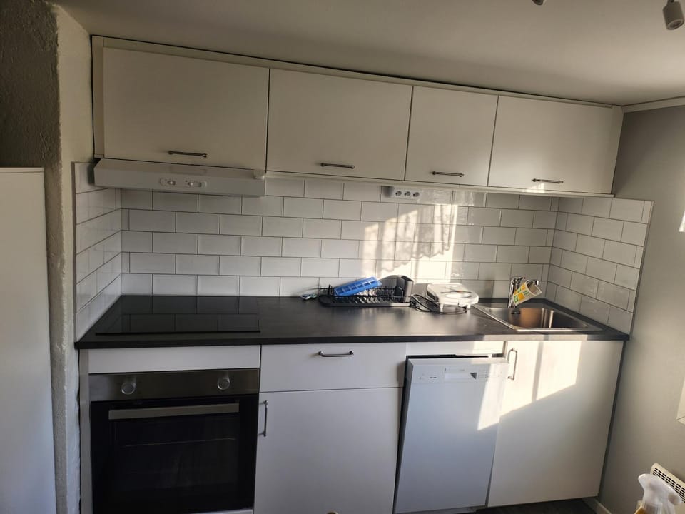 Kitchen or kitchenette, dishwasher, stove