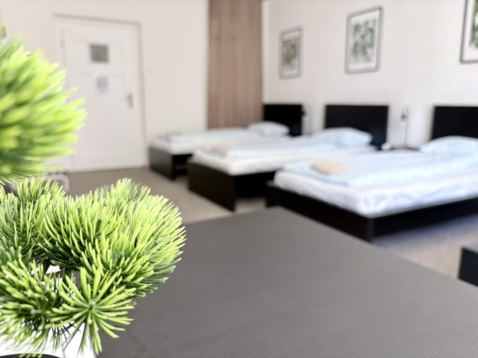 Bed, Photo of the whole room, Decorative detail, Bedroom, towels