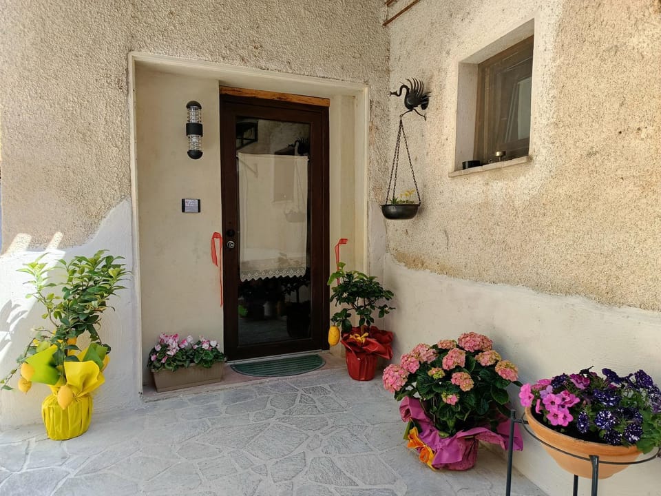 Facade/entrance, Garden