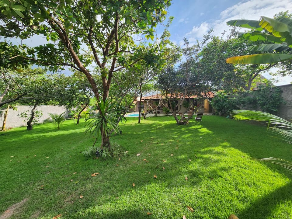 Property building, Facade/entrance, Spring, Day, Natural landscape, Garden, Garden view