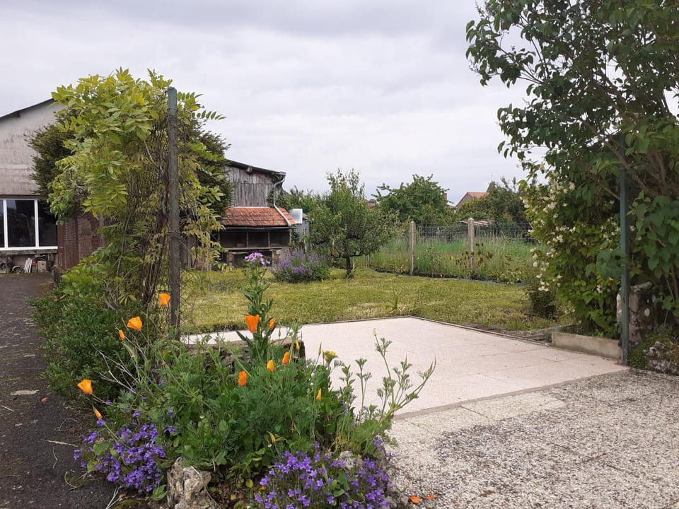 Patio, Garden, Garden view