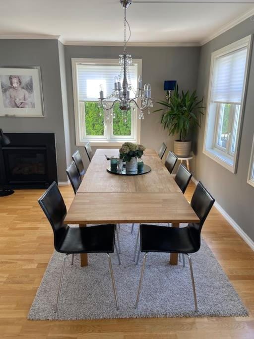 Flott enebolig nær sjøen, Hvaler og Fredrikstad Villa in Viken, Norway