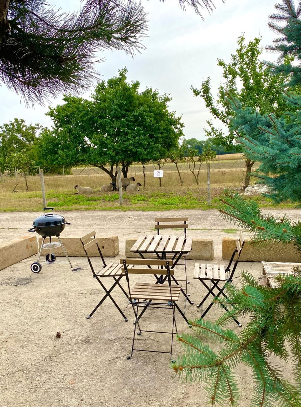 BBQ facilities, Garden, Seating area, Garden view