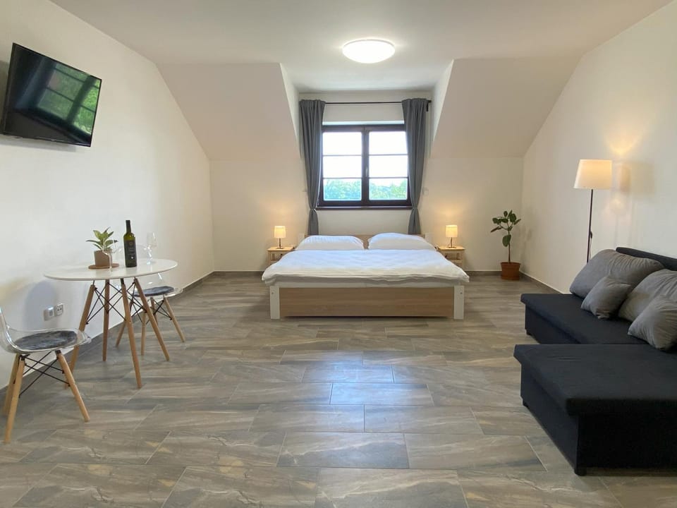 Bed, TV and multimedia, Living room, Photo of the whole room, Seating area, Bedroom