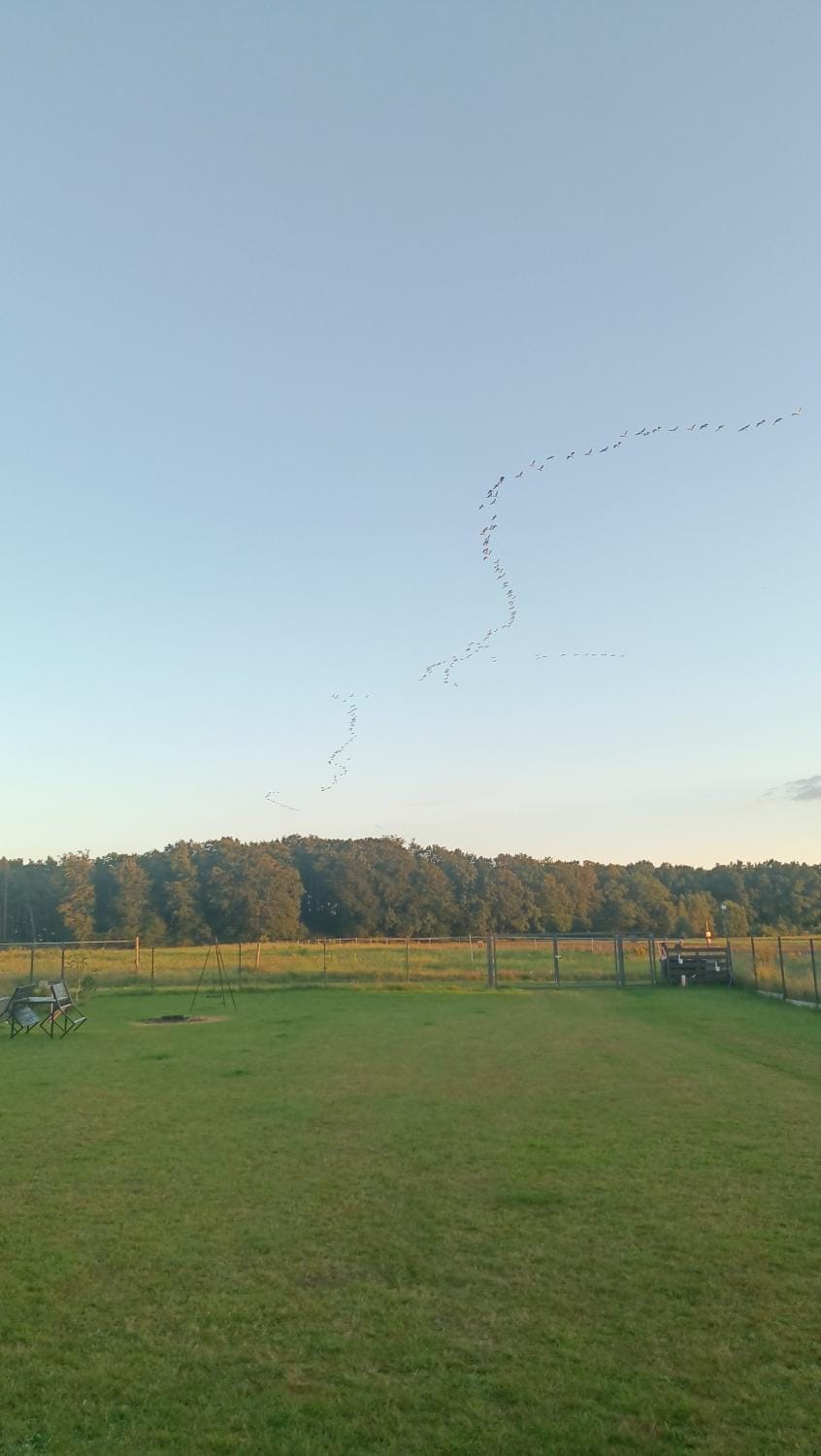 Izbicki ZaKątek- Izbica nad jeziorem Łebsko House in Pomeranian Voivodeship