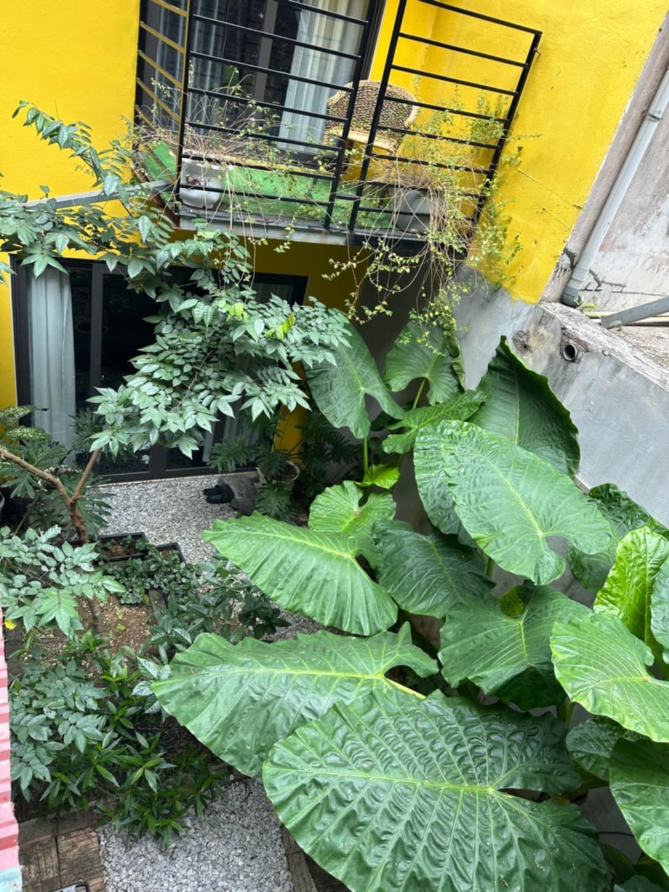 ỐC Homestay Cat Ba Apartment in Laos