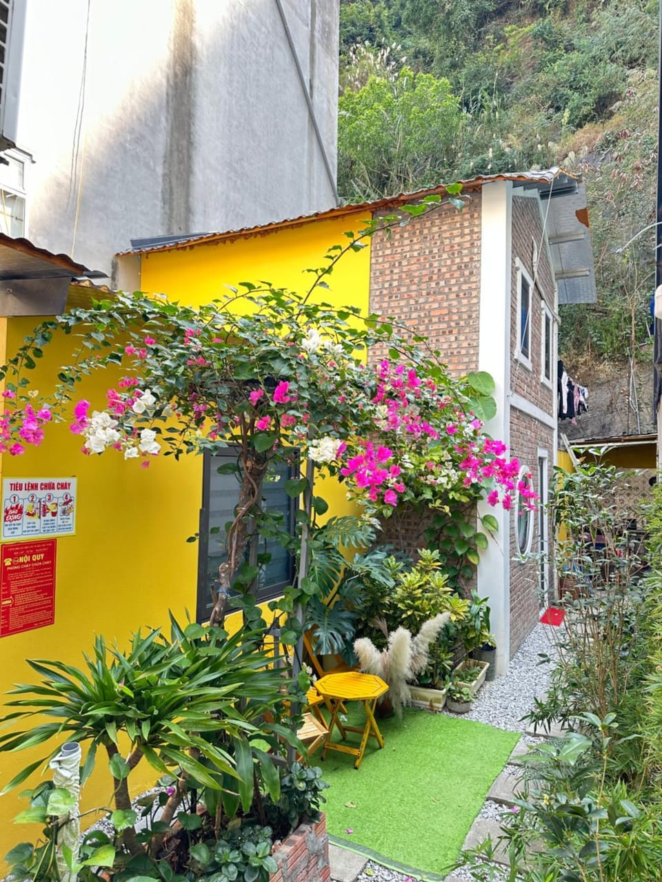 ỐC Homestay Cat Ba Apartment in Laos