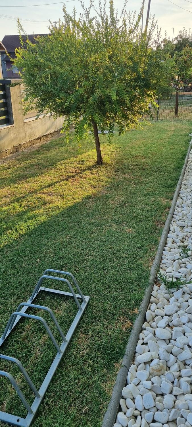 Day, Natural landscape, Garden, Garden view