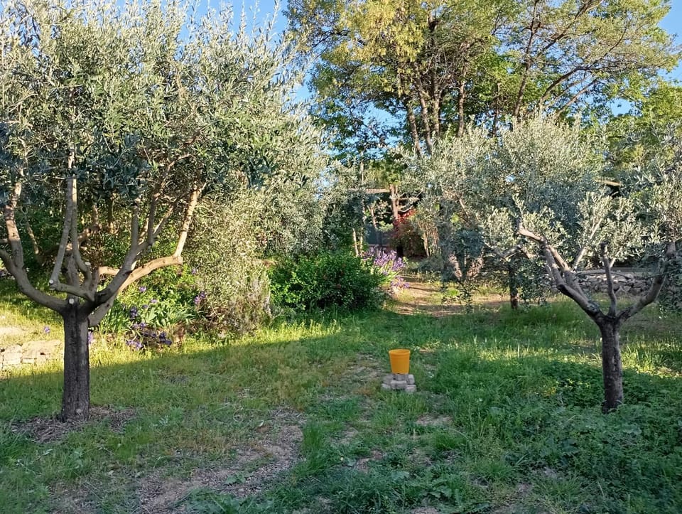 Spring, Garden