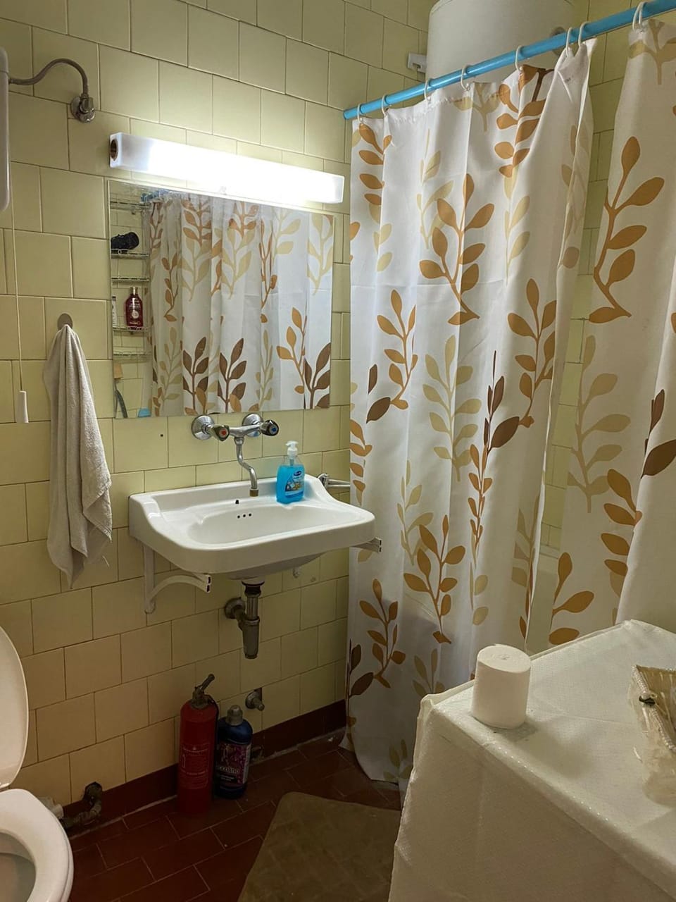 Shower, Toilet, Bathroom, Bath