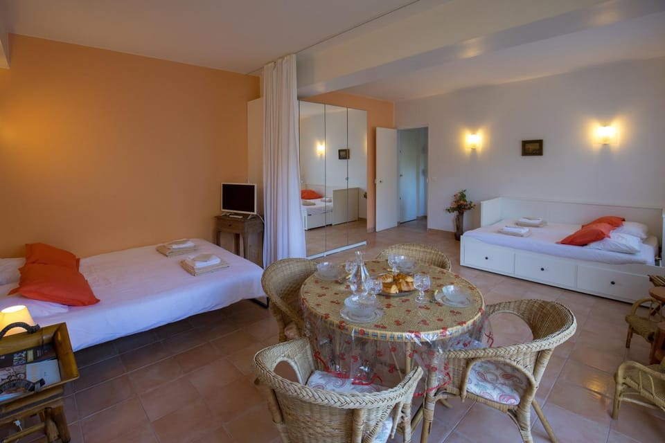Bed, TV and multimedia, Dining area