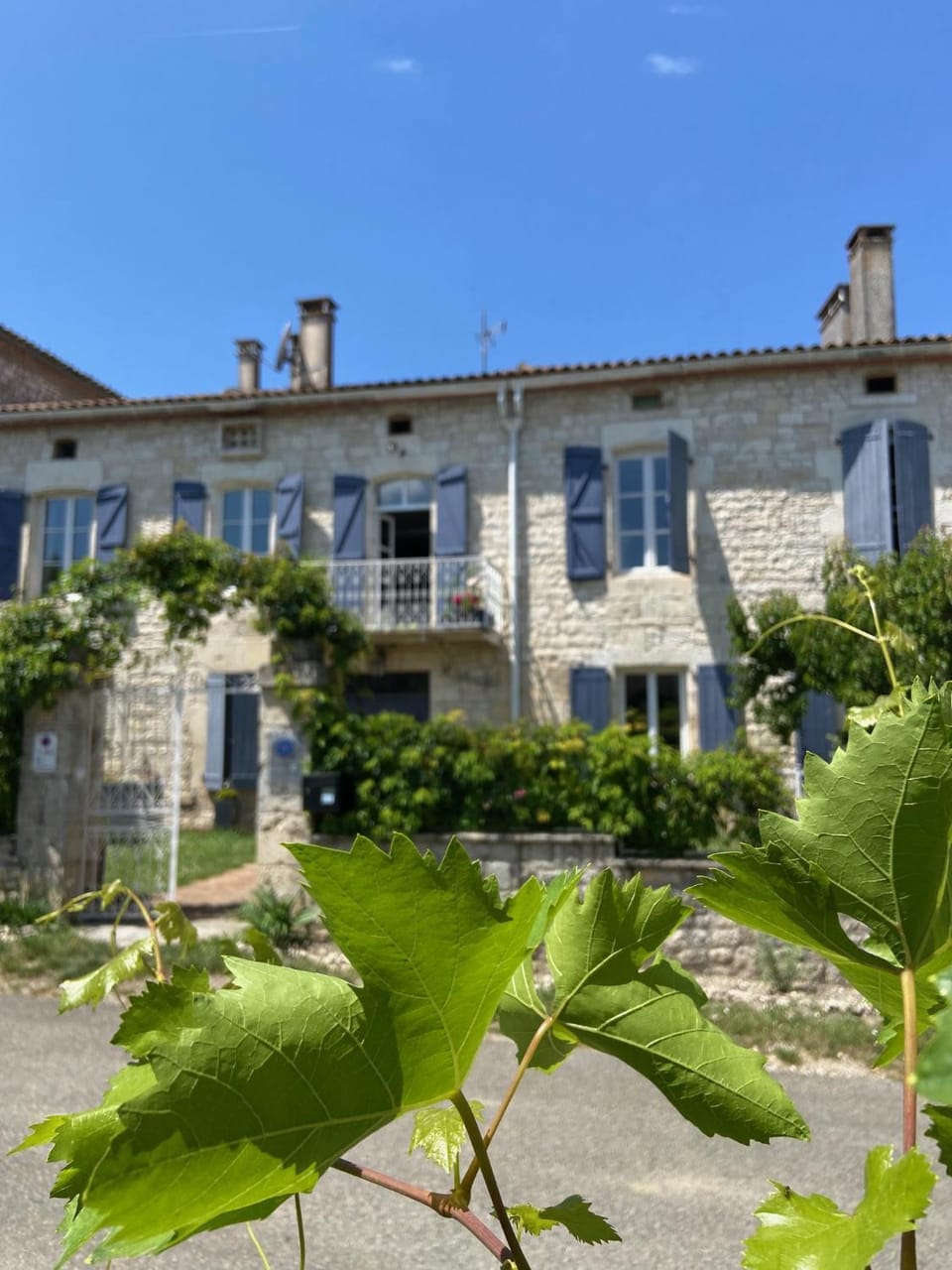 Property building, Garden, Garden view