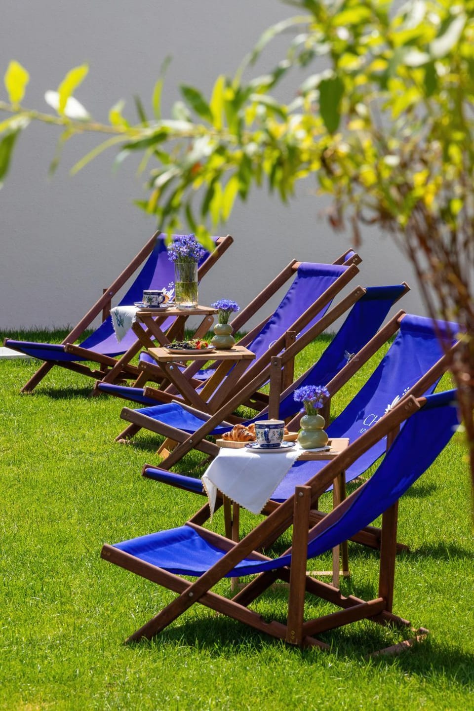 Spring, Garden, sunbed