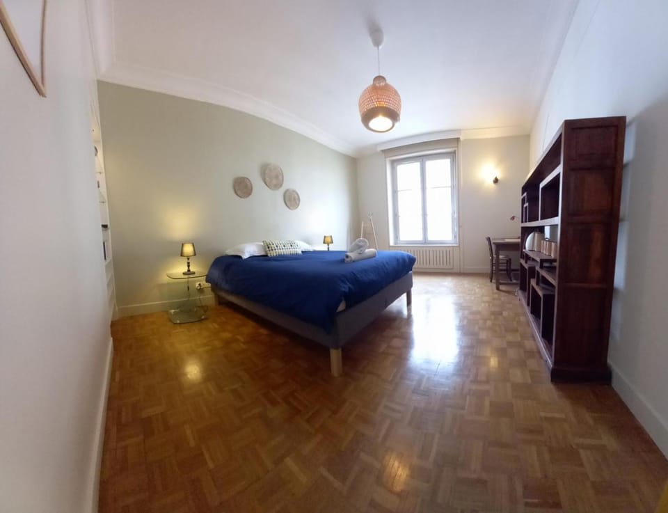 L'Ensoleillé - Spacieux - Central - Confortable Apartment in Orléans
