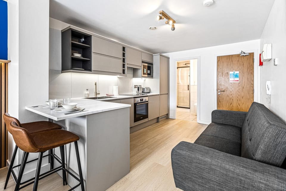 Kitchen or kitchenette, Living room, Seating area, Dining area, dishwasher, oven, stove