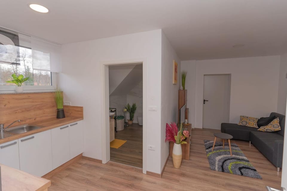 Kitchen or kitchenette, Living room, Seating area