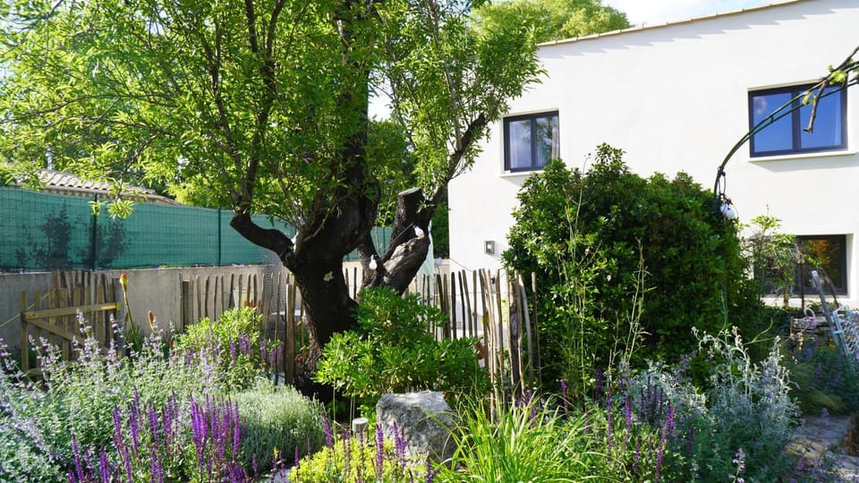 Garden, Garden view