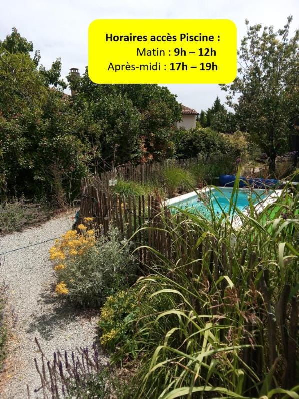 Garden, Swimming pool