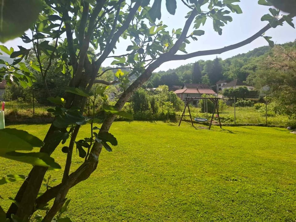 Spring, Day, Natural landscape, Garden, Garden view
