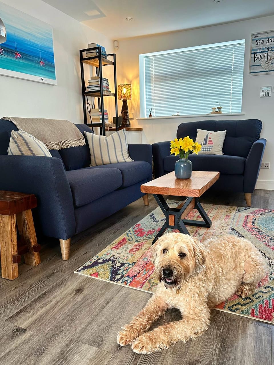 Living room, Seating area, Pets