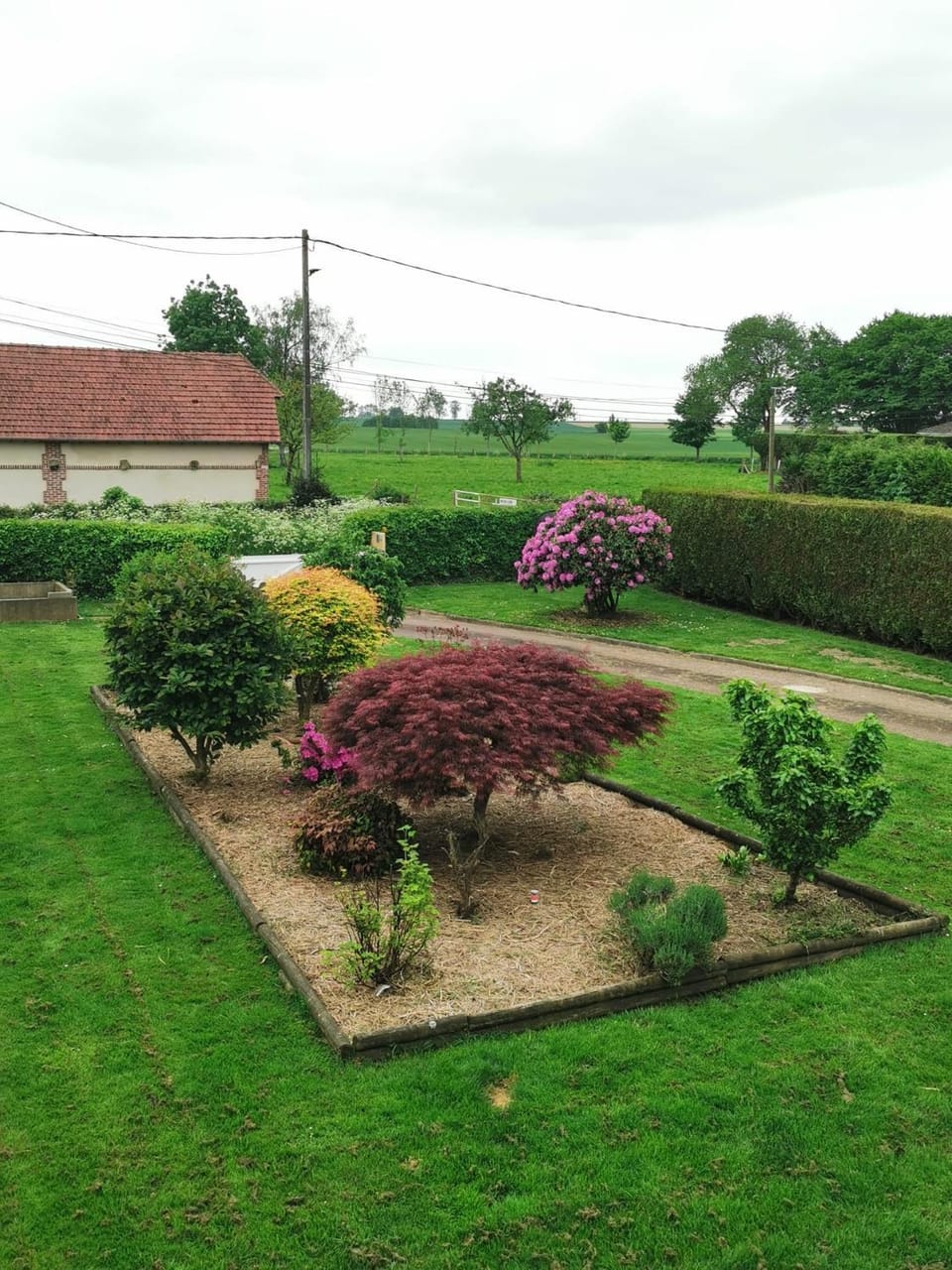 Garden view