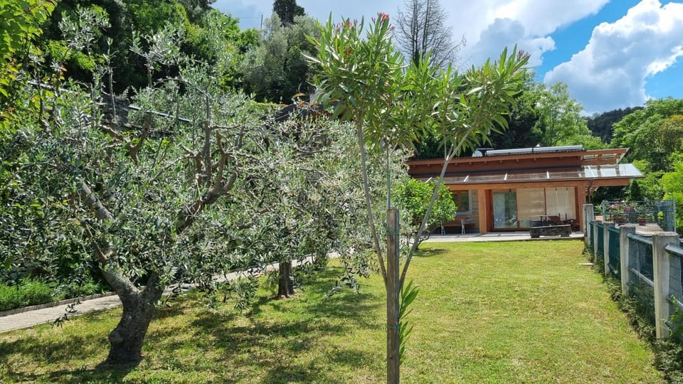 Property building, Patio, Garden